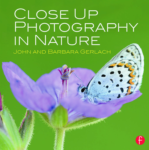 Close Ups In Nature Photo Contest