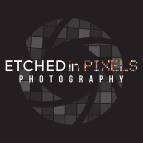 EtchedinPixels avatar