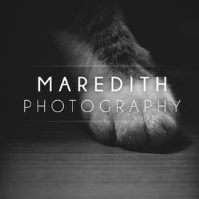 MeredithPhotography avatar