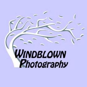 WindblownPhotography avatar