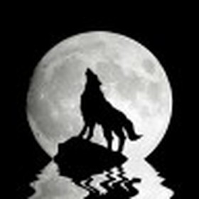 Howlingwolf avatar