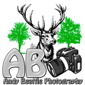 AndyBeattiePhotography avatar