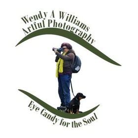 WAWArtfulPhotography avatar