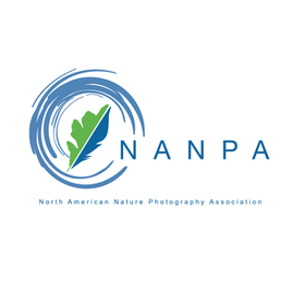 Celebrating Nature Photography Day Photo Contest 2016
