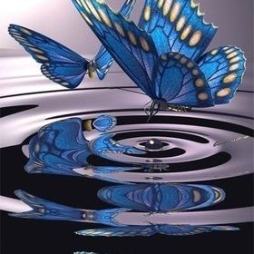 Blue-Nightly-Butterfly avatar