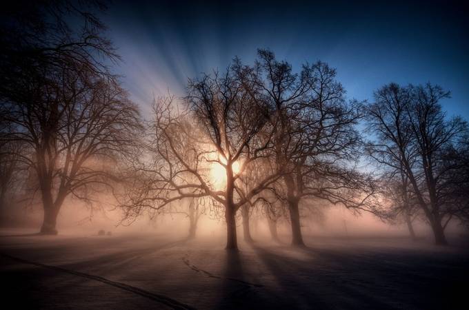 Foggy morning by zenabiz - The Sun Behind Photo Contest