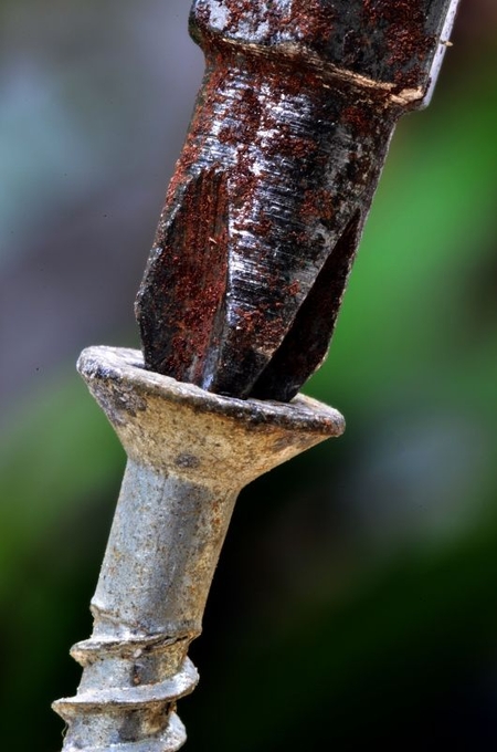 A good screw by bob_phillips_6919 - Metallic Photo Contest