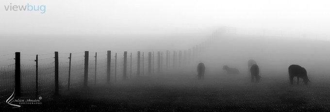 Cold Foggy Sunrise by julienjohnston - Lost In The Fog Photo Contest