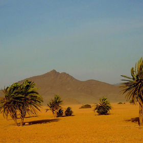 Desert avatar