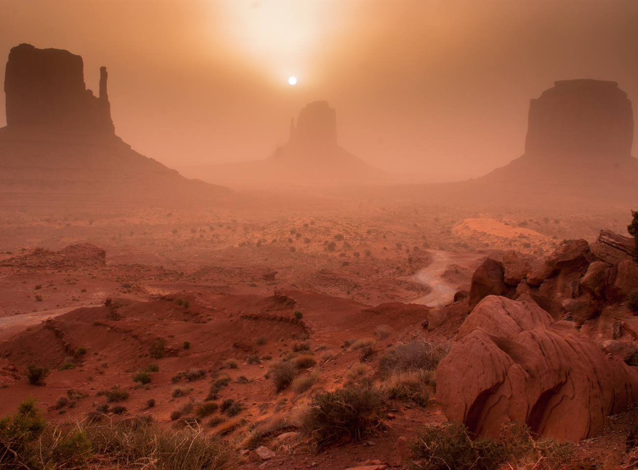 Desert Views Photo Contest Winners