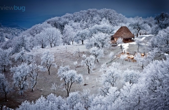 Winter wisper by tamas_vali - Winter Landscapes Photo Contest