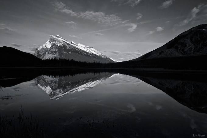 High Contrast In Black and White: Photo Contest Winners - VIEWBUG.com