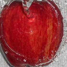 cold-apple avatar