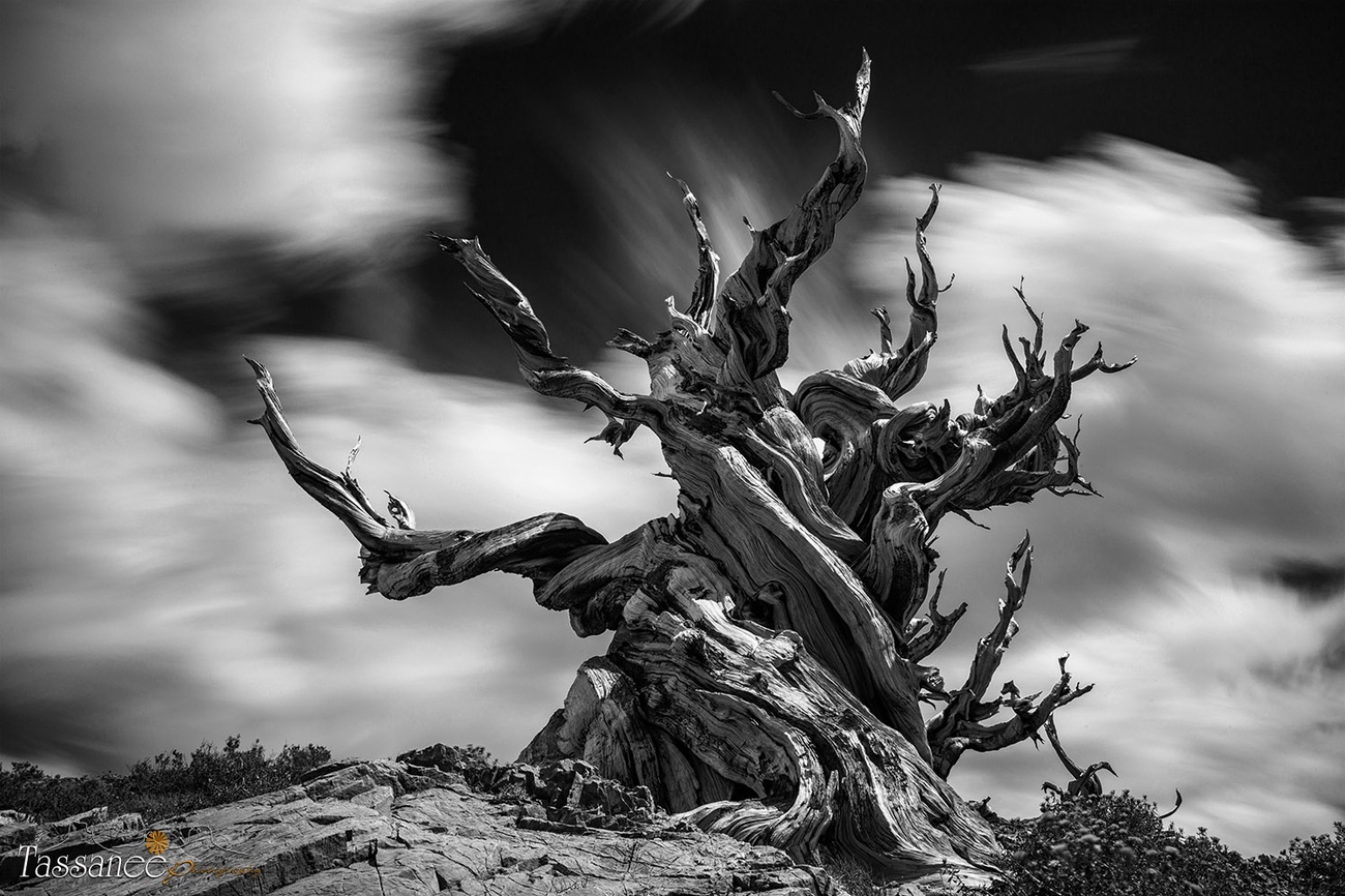 40+ Cool Shots Of Different Textures In Black And White: View The Photo Contest Finalists
