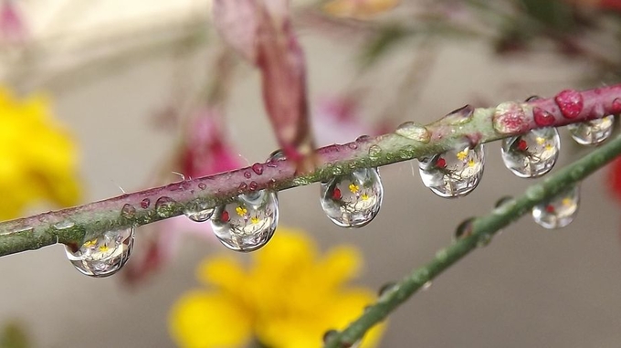 Raindrop. by MossyRockStudio - Water Drops Photo Contest