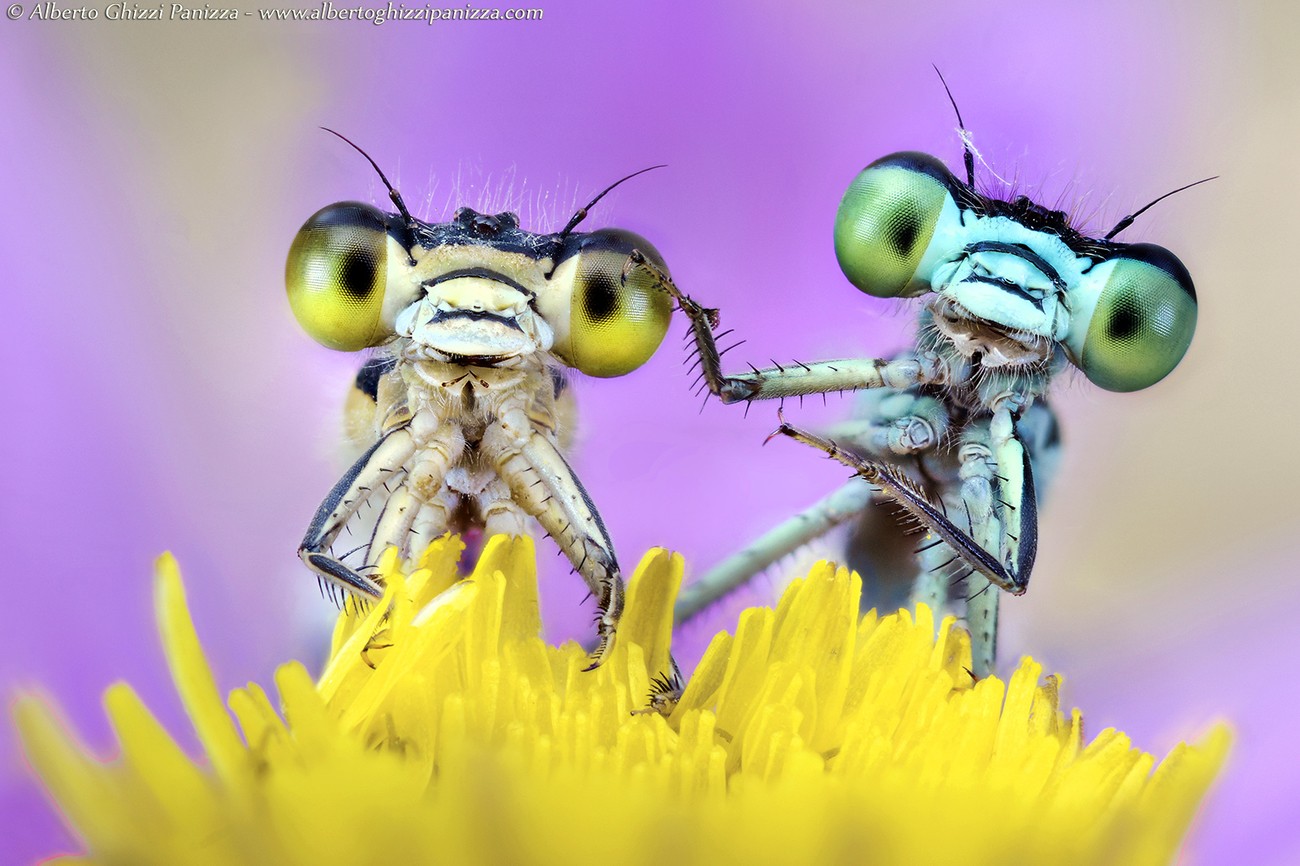 How I Took This Photo by Alberto Ghizzi Panizza