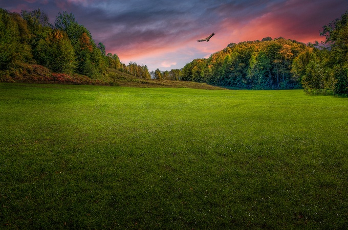 I Wish I Could Fly by PaulMurphy - 1000 Lawns Photo Contest