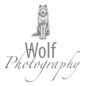 WolfPhotography avatar