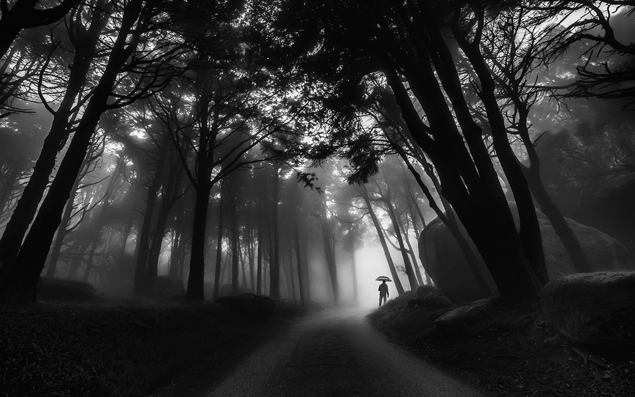 Epic Black and White Photo Contest finalists