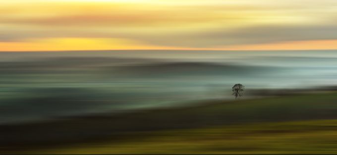 Lonesome Tree on the Horizon by ceridjones - Lost In The Field Photo Contest