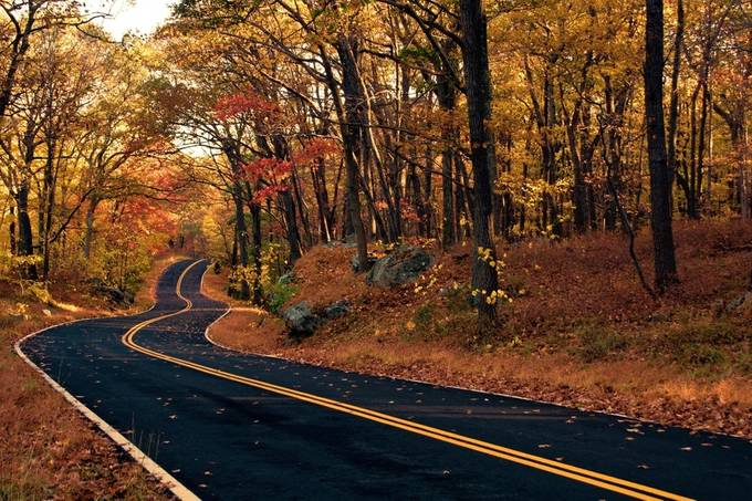 The Long And Winding Road by ZevSteinhardt - The Colors Of Autumn Photo Contest