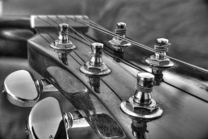 guitar by mrspaulding - Still Life Macro Photo Contest