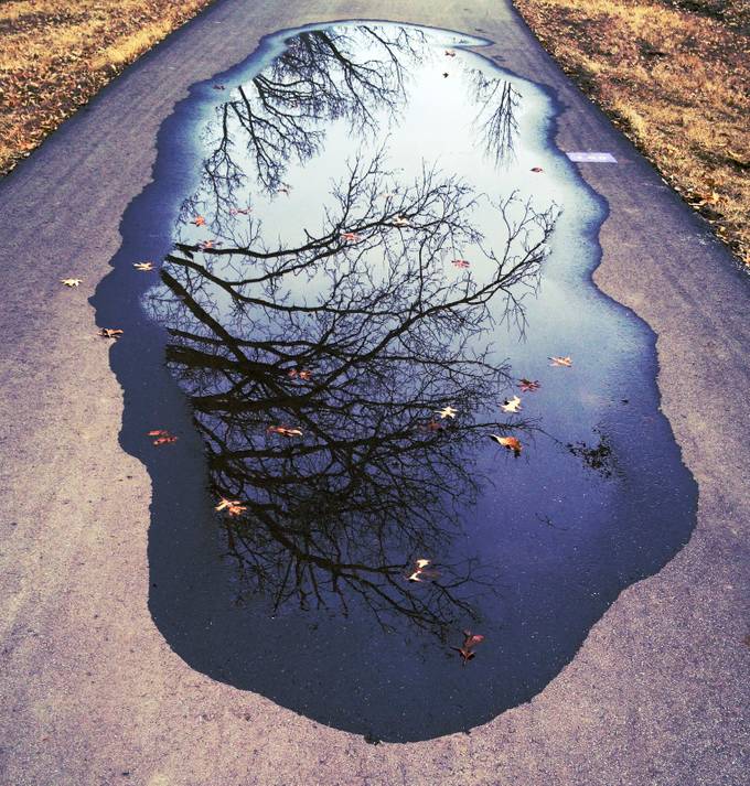 puddle deception by emmehess6 - Puddle Reflections Photo Contest