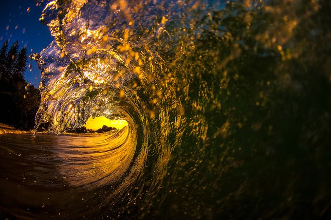 Golden Curl by KanaPhotography - Surf And The Ocean Photo Contest