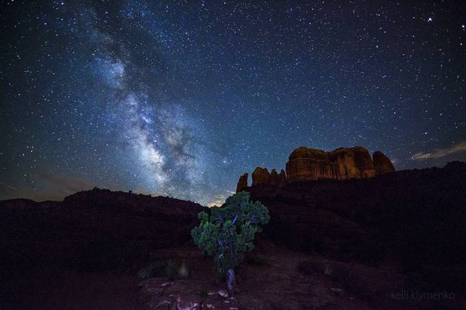 Juniper under the Stars by kelliklymenko - Astronomy Photo Contest