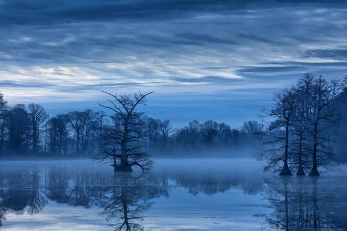 Blue Morning by jbingaman - Shooting The Blue Hour Photo Contest
