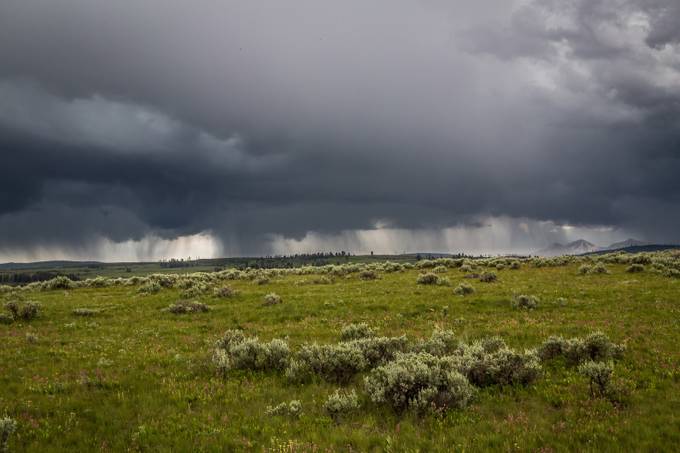 Yellowstone National Park-12 by Pegertler - Rain In Nature Photo Contest