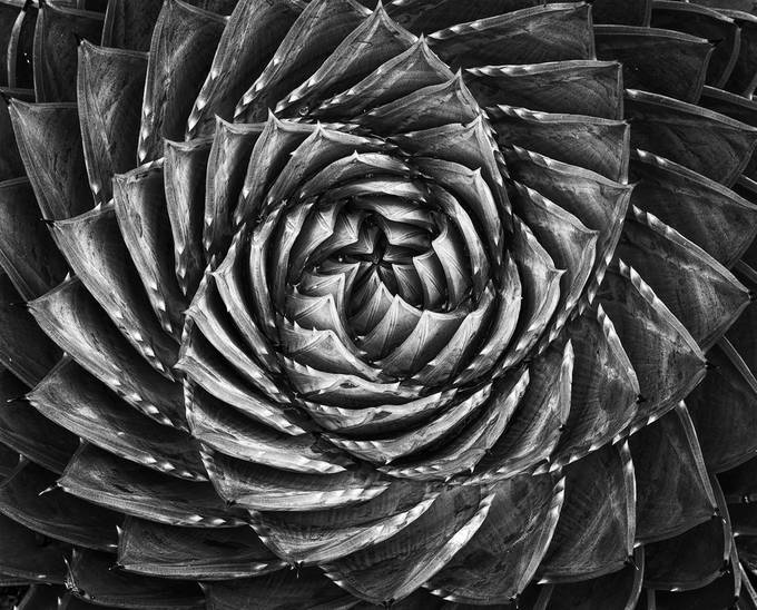 Spiral by fidfoto - Twisted Lines Photo Contest