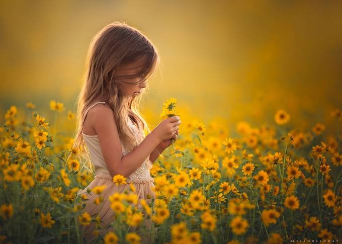 Golden Daydreams by lisaholloway