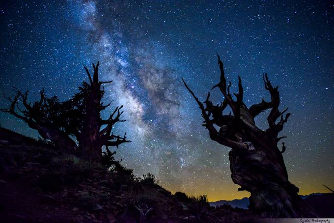 5 Tips That Will Improve Your Milky Way Photography