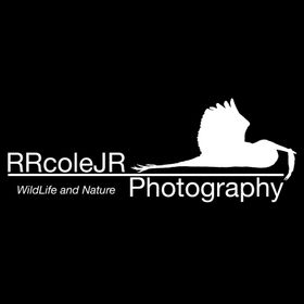 RRcoleJR_Photography avatar