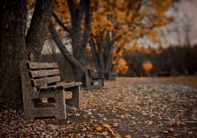 A Nice Place To Sit by TimmyLancaster - My Favorite Chair Photo Contest