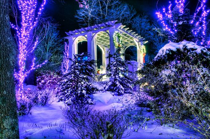 purgola in winter by DebMinnard - Holiday Lights Photo Contest