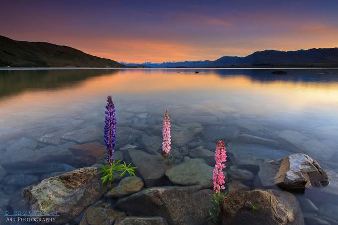 Behind The Lens: Lake Tekapo, New Zealand