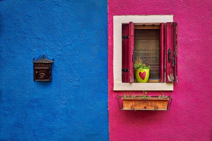 Colors by Denis09 - Contrasting Colors Photo Contest