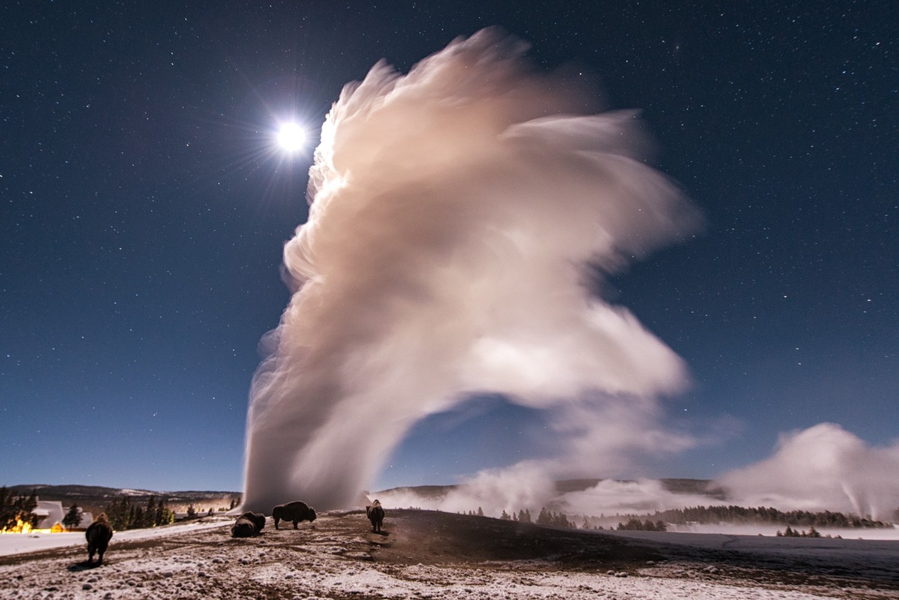 The Beauty Of Yellowstone National Park Photo Contest Winners