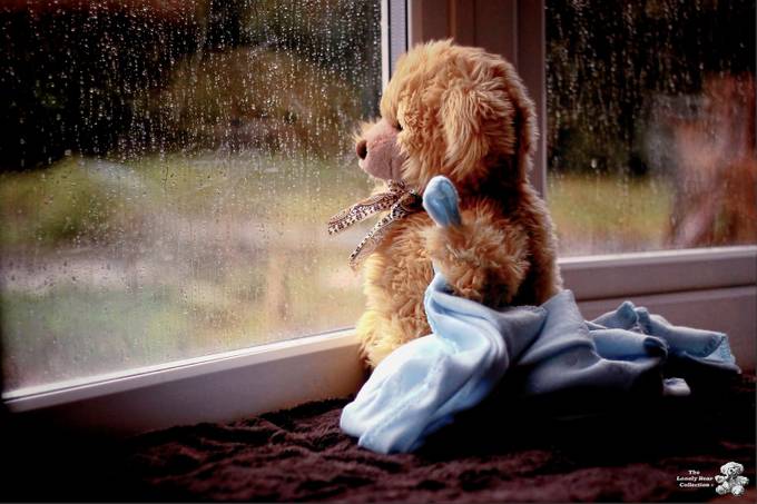 Lonely bear - Rainy Days by SamWellsArt - Indoors Photo Contest