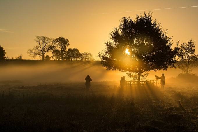 Misty morning waiting for the deer. by btcphotography - The Morning Light Photo Contest