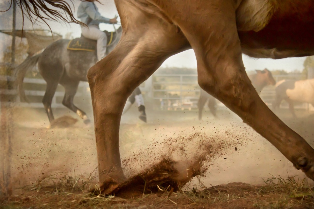 45 Action-Packed Shots Taken At The Rodeo: Photo Contest Finalists