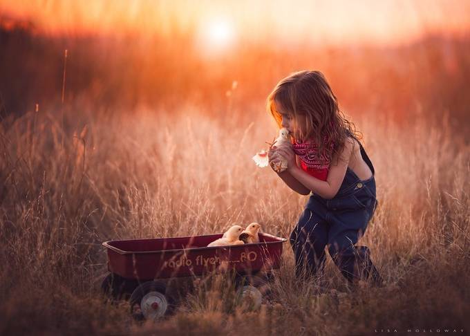 Best Friends by lisaholloway - Monthly Pro Vol 11 Photo Contest