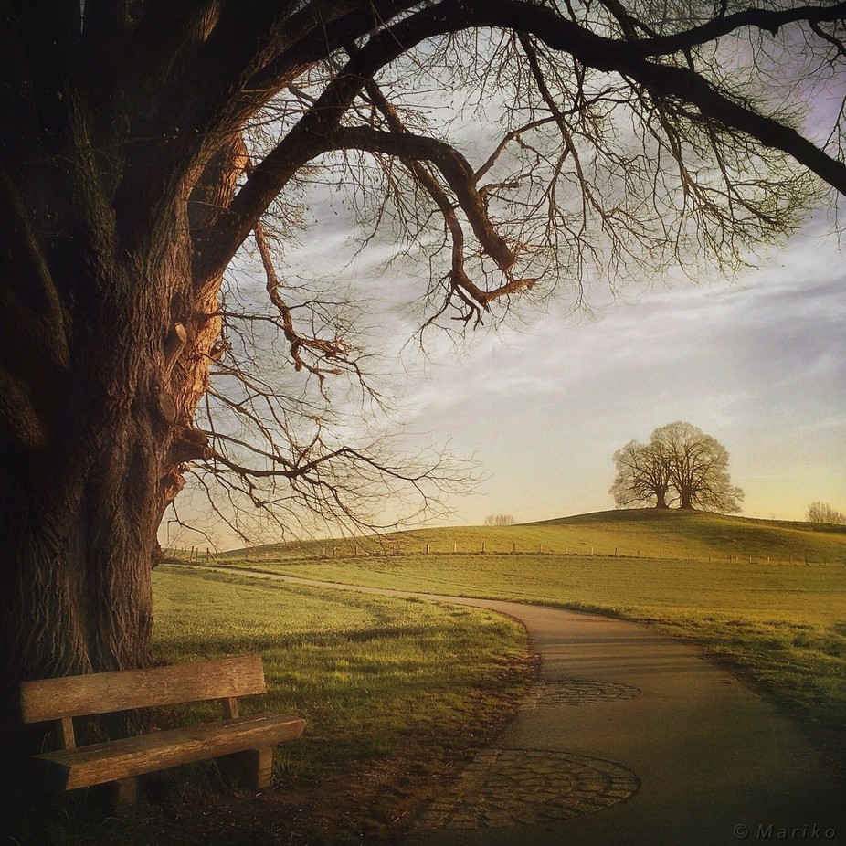Have a Seat by Mariko - Compositions 101 Photo Contest vol2