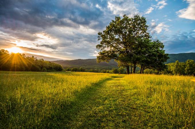 Meadow by loripike - Meadows Photo Contest