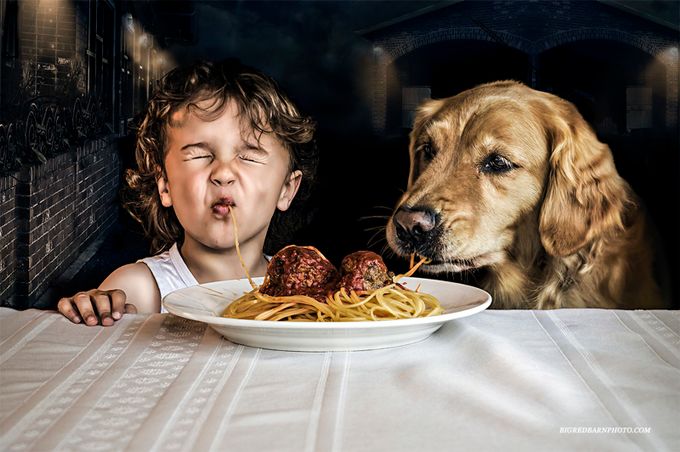 Lady & The Tramp by Bigredbarnphoto - Youngsters Photo Contest