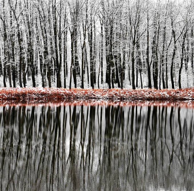 Winter Reflections by PhillipMinnis - Natural Clusters Photo Contest
