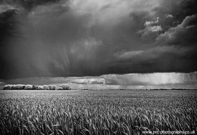 Wide Angle In Nature Photo Contest Winners
