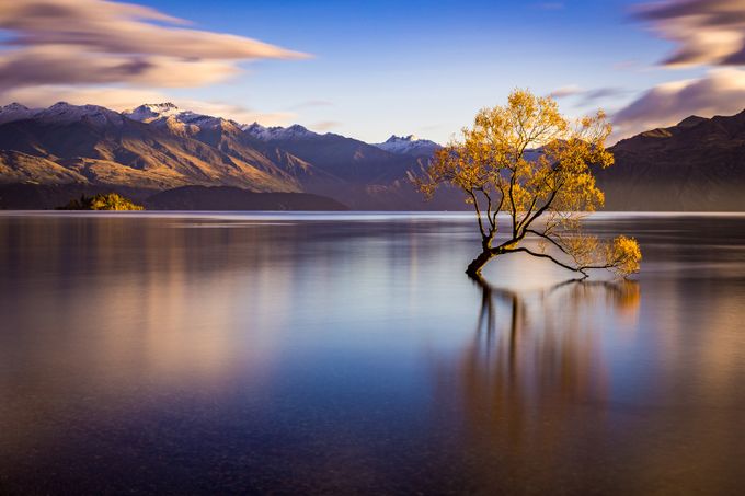Lonely Tree by travisdaldy - Resource Travel Inspiration Photo Contest vol1